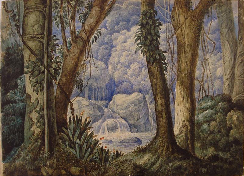Santo angelo Brazilian Jungle, oil painting picture